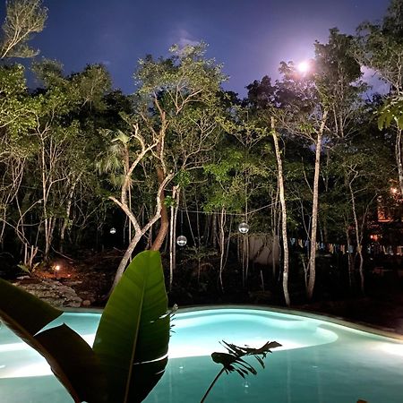 Casa Arkaana Eco Retreat Hotel Тулум Екстериор снимка